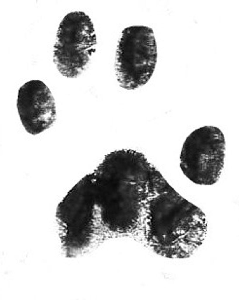 Reggie Weaver Profile Photo