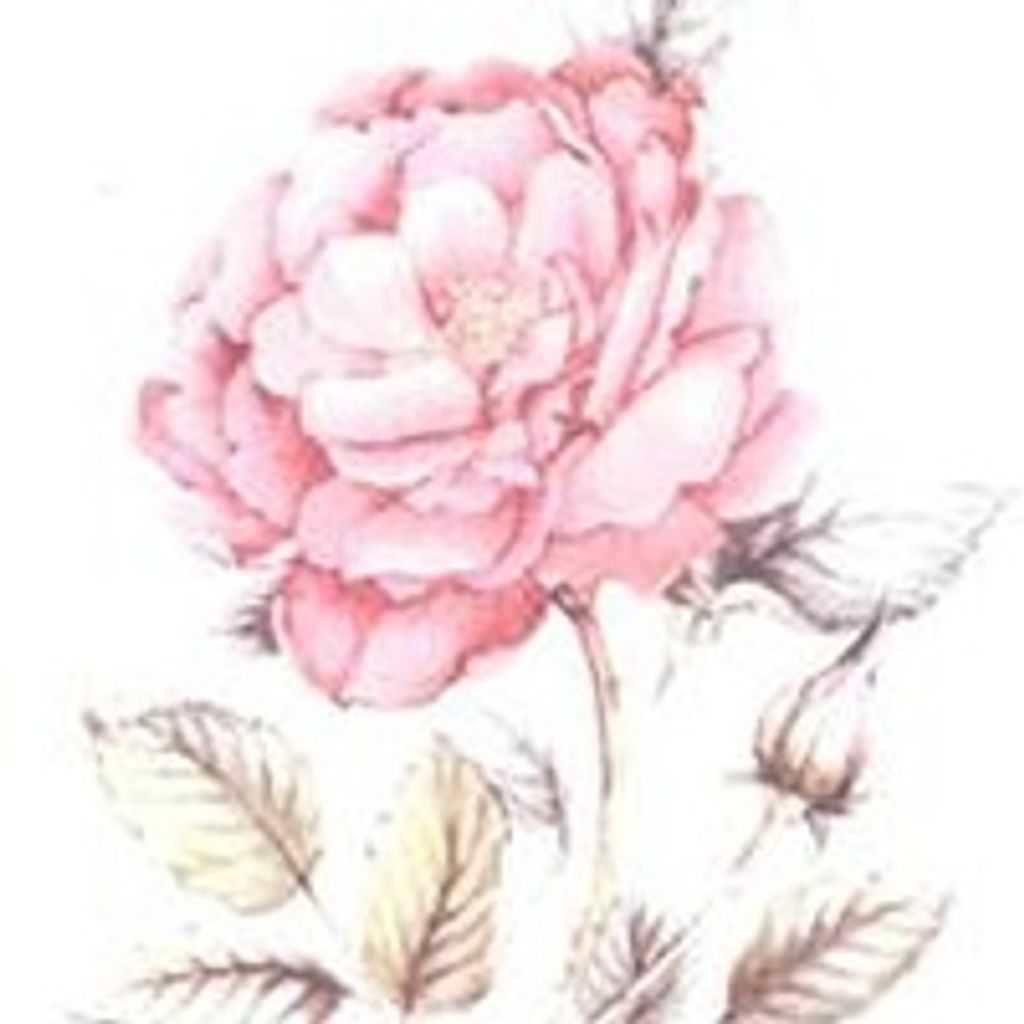 Sherry Lee Bruner