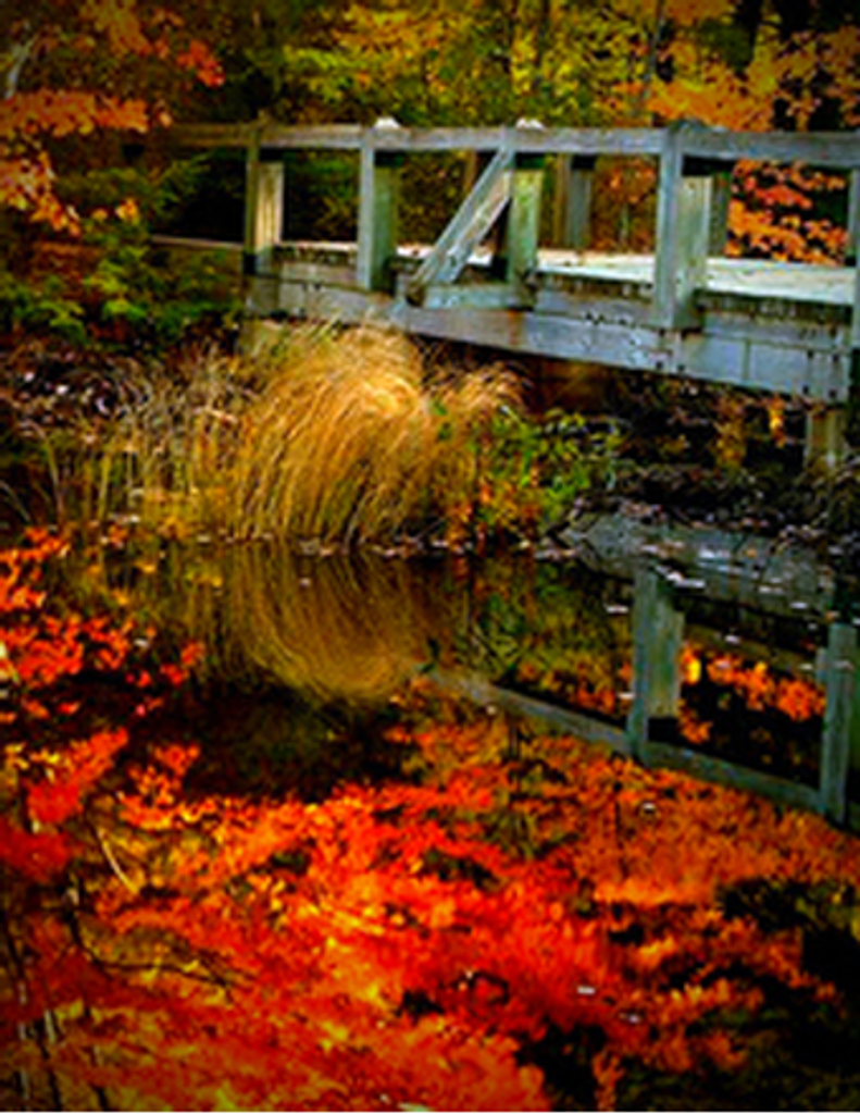 Martha Lou (Beaver) Rankin