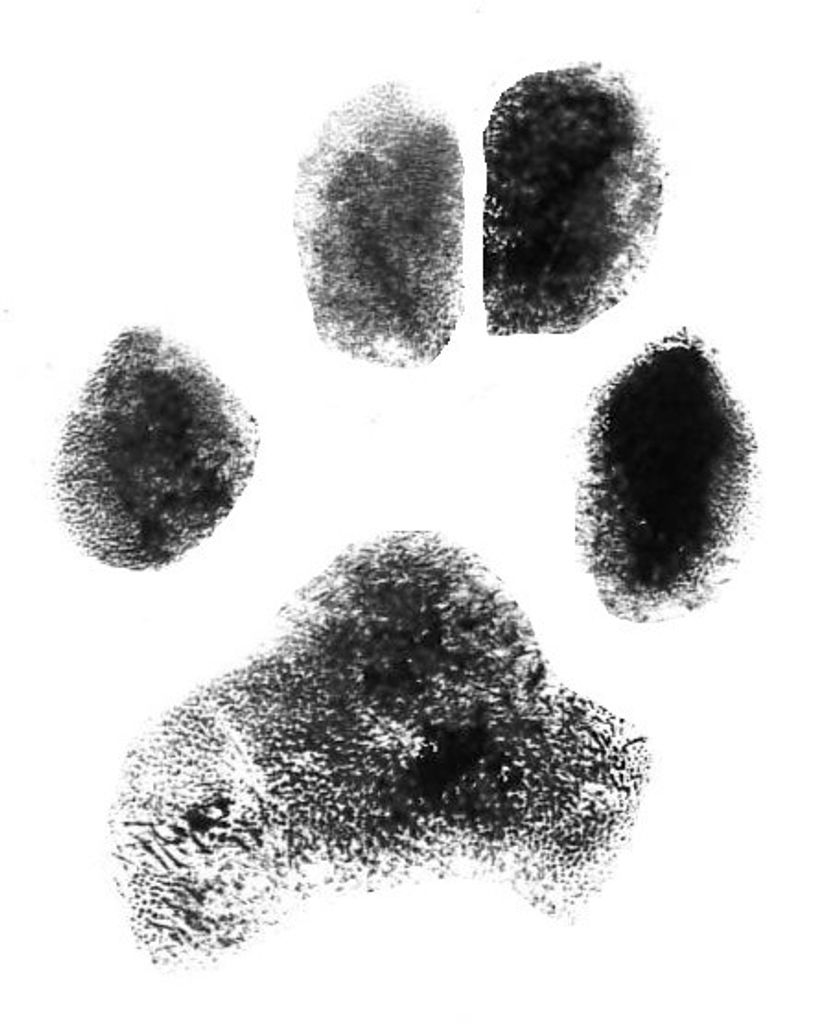 Petey Hightower Profile Photo