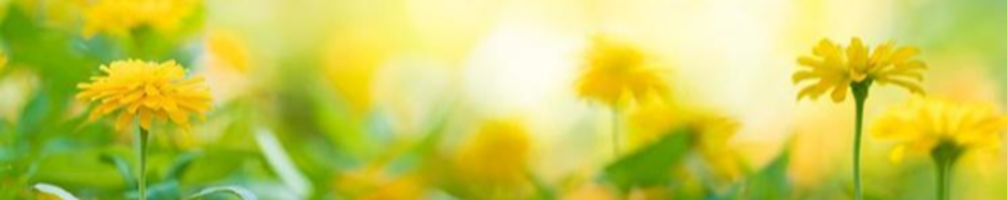 Cover photo for Susie Mumford's Obituary