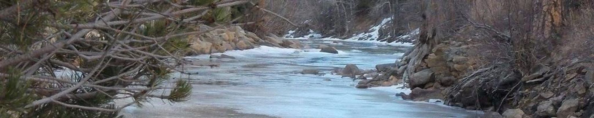 Cover for Steven Edward Gray's Obituary