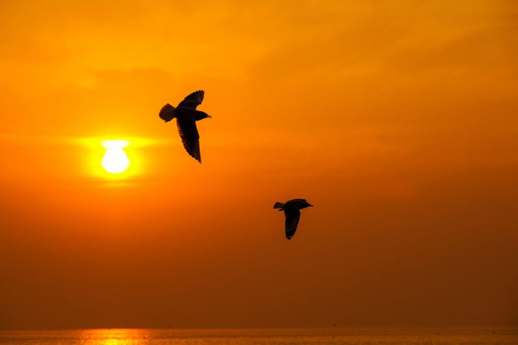 Dawnque M Stewart Profile Photo