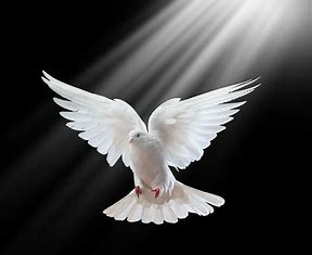 Alphonzo "Tarez" Boyd Profile Photo