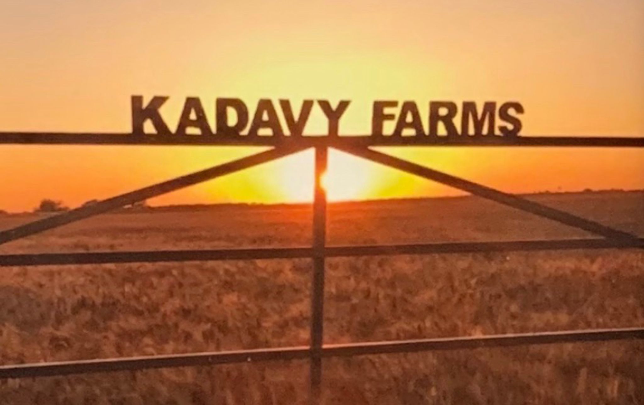 Cover for Stanley Kadavy's Obituary