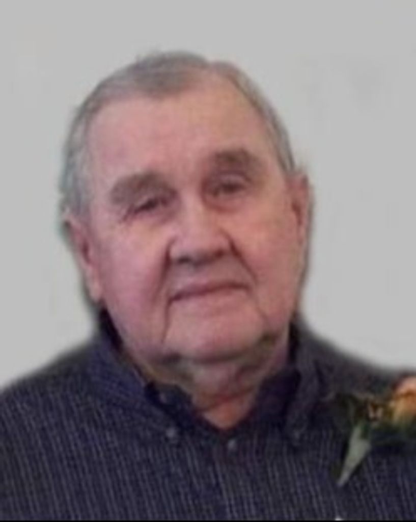 Chan Ross Komarek Profile Photo