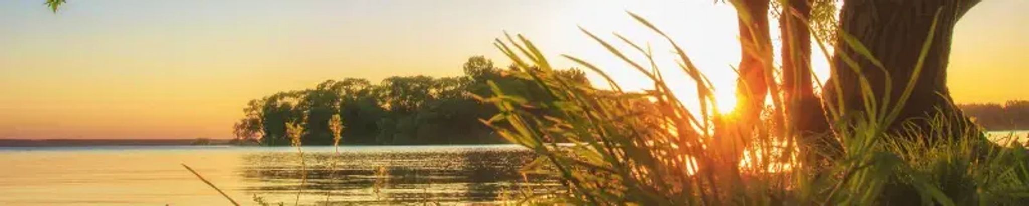 Cover photo for Lon Andrews Humphreys's Obituary