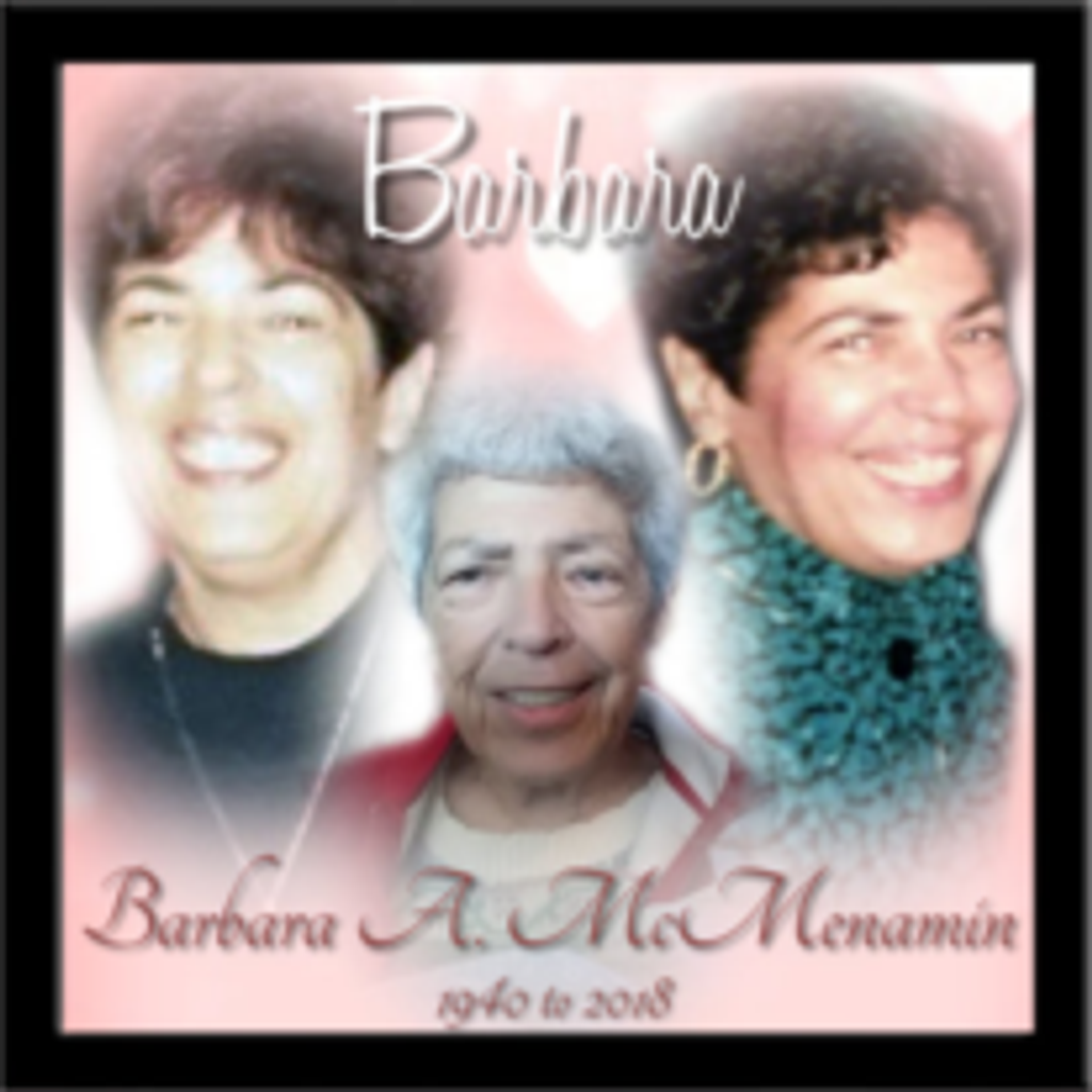 Barbara A. Mcmenamin