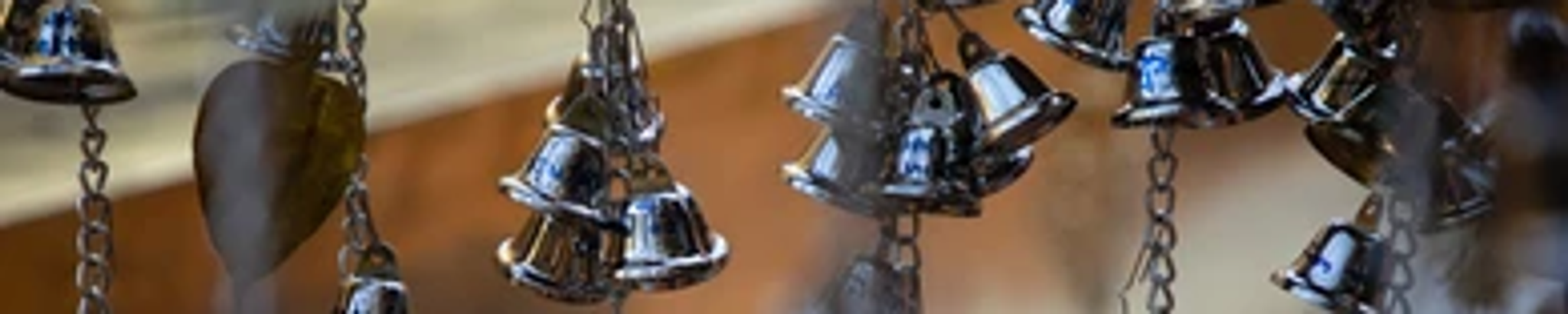 Cover for Karen STOCKING's Obituary