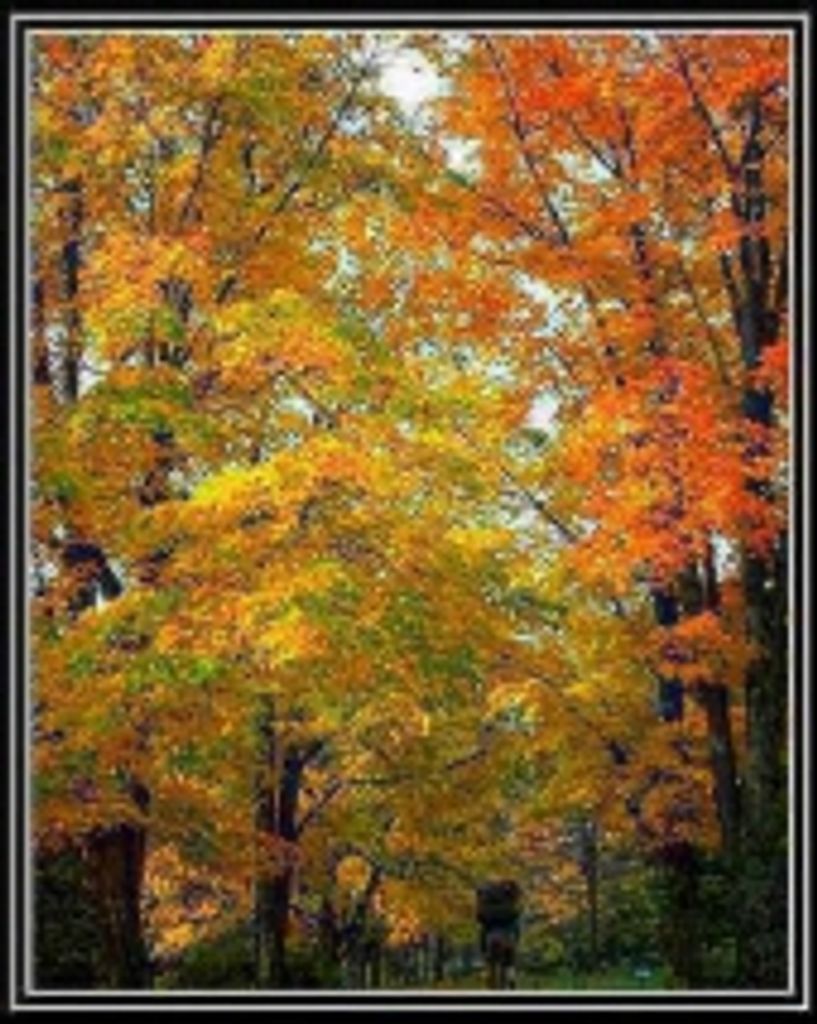 Frederick  M Kuhaneck