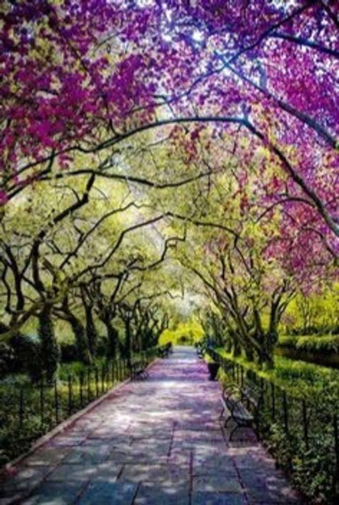 Wilma Juanita Hacker