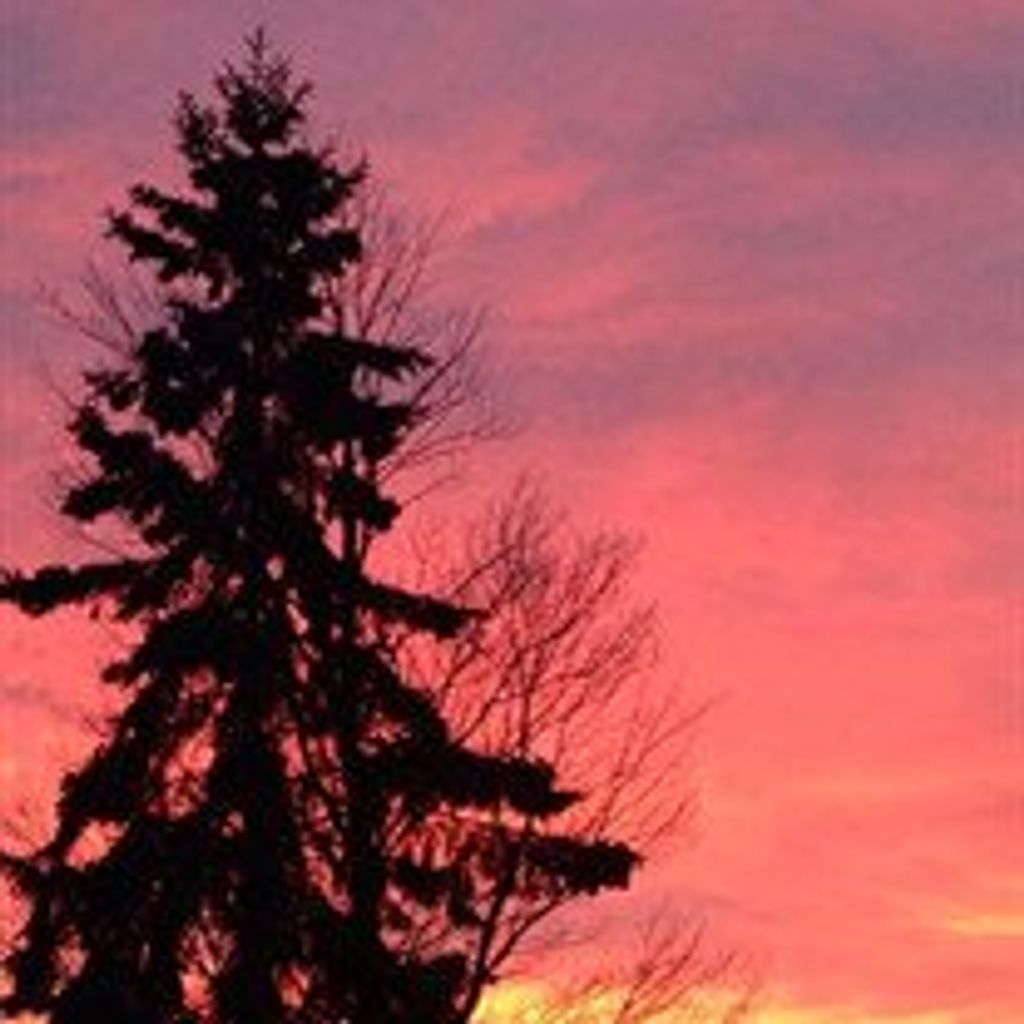 Shirley  Evelyn Wilkinson