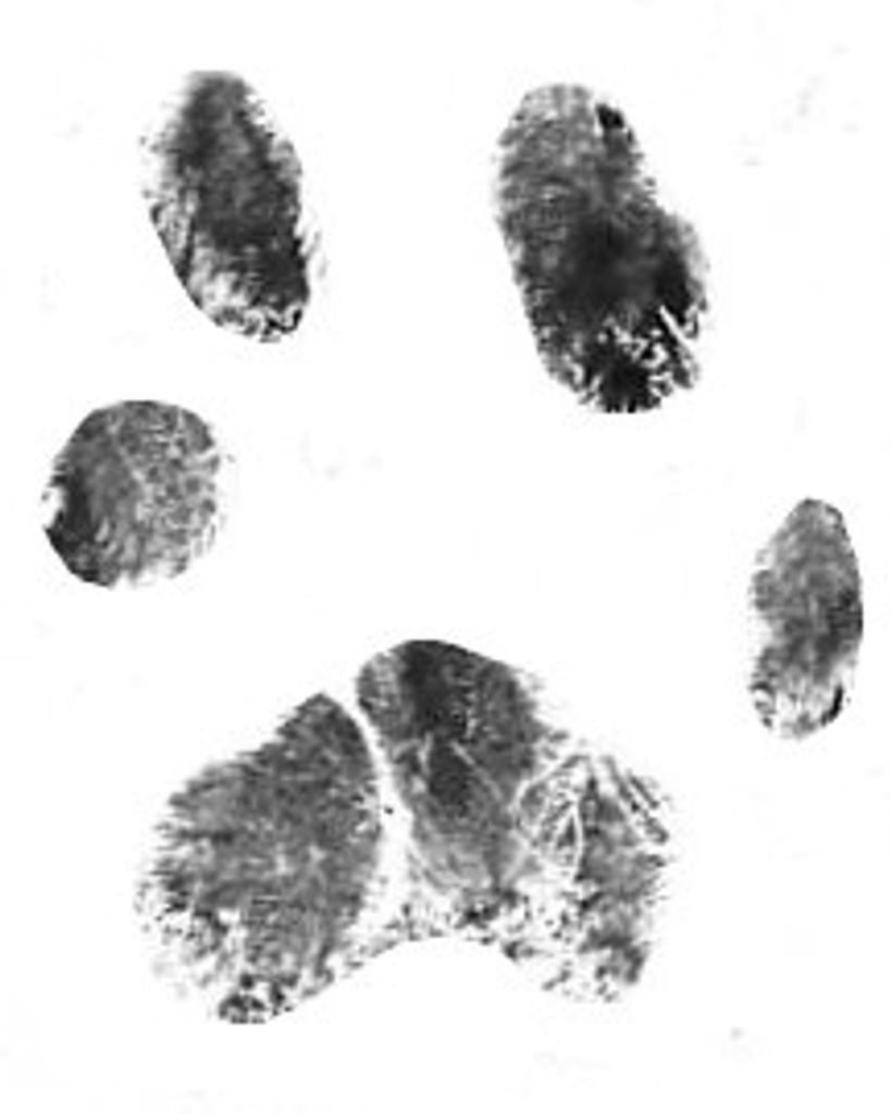 Sophie Kanipe Profile Photo