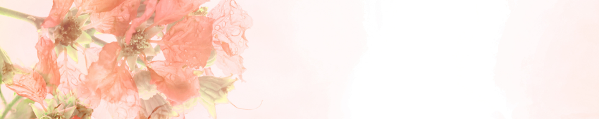 Cover for Patricia Daniell Tralongo's Obituary