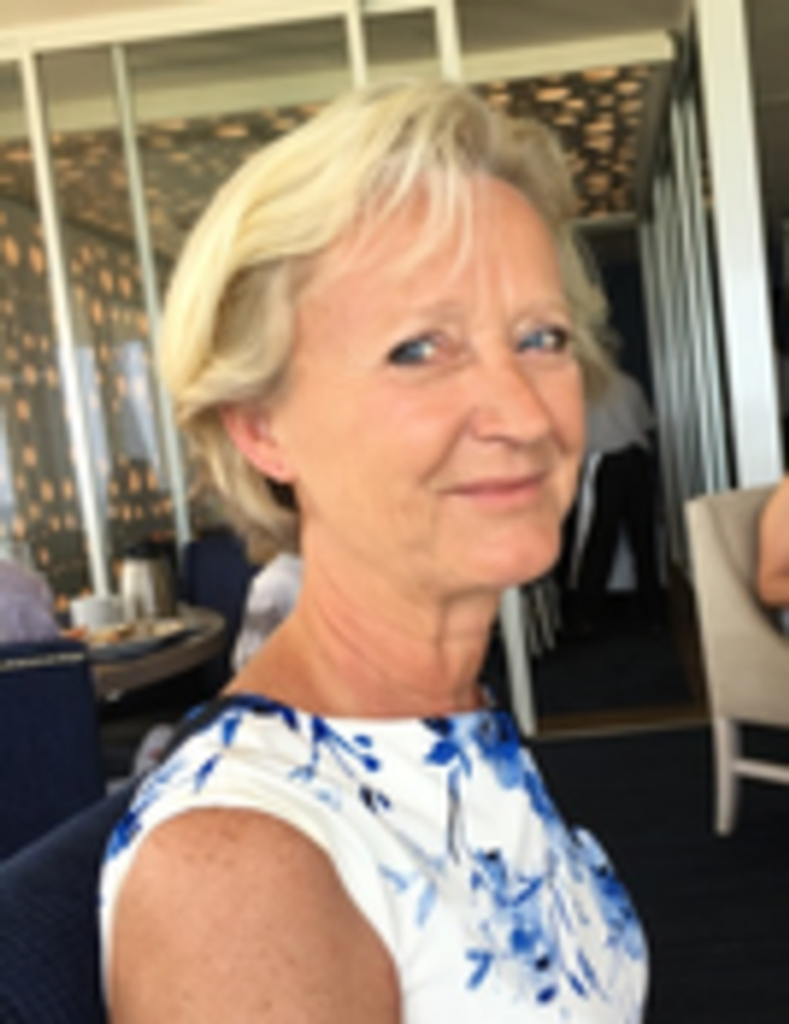 Suzanne Elisabeth (Meinking) Hesseltine