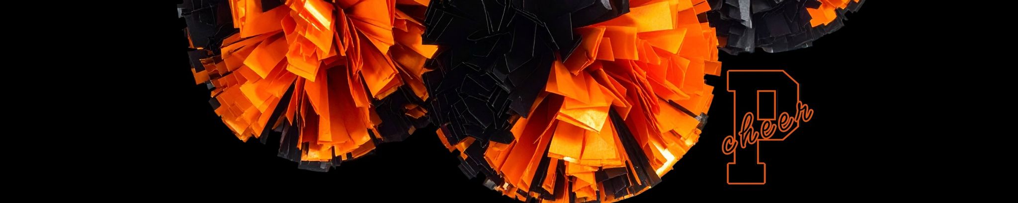 Cover for Zoe Kate Rollins's Obituary