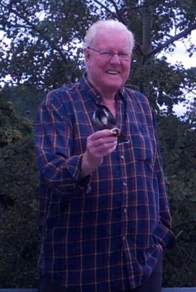 Woodrow Eldin Brake Profile Photo