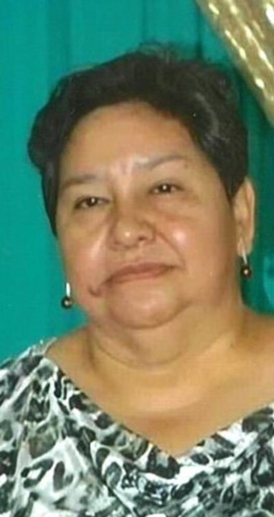 Elsa Baez Urrutia Profile Photo