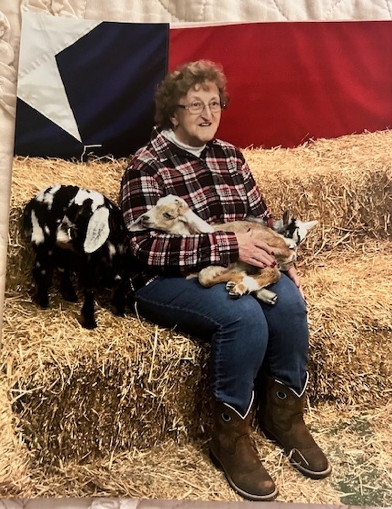 Anne Marie Theresa Desautel Murray Profile Photo