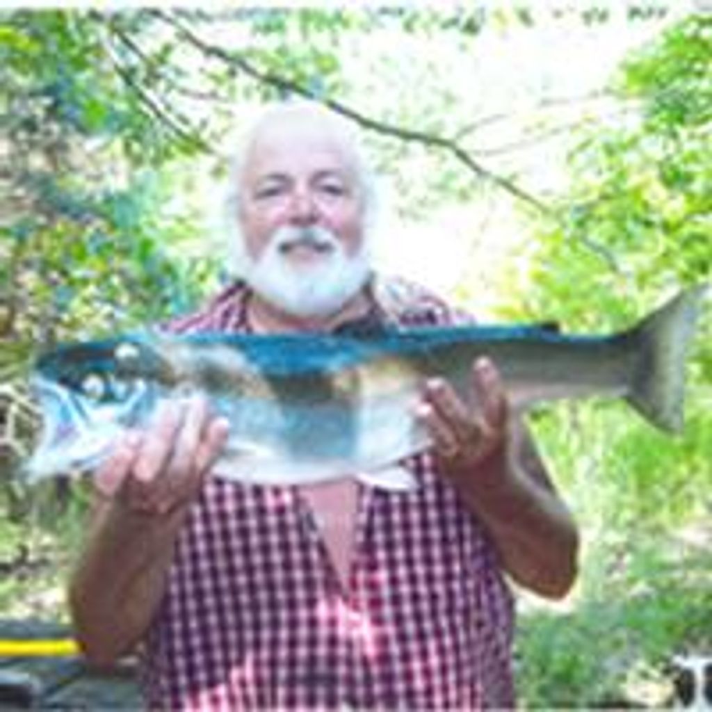 Allen "Pete" L. Peterson  Jr.