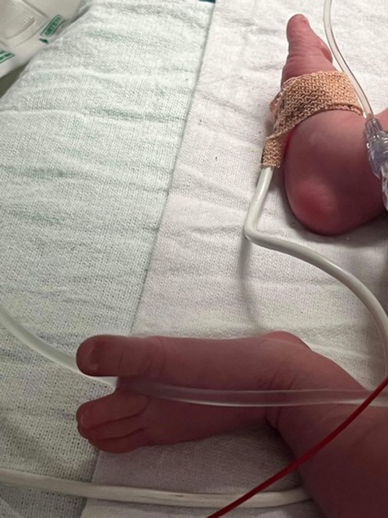 Wrenlee Kate Hodges Profile Photo