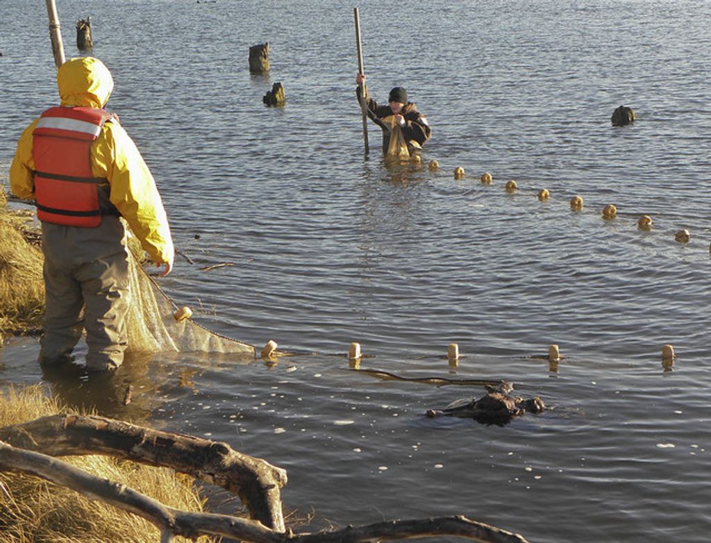 Larry Robert Bright Profile Photo