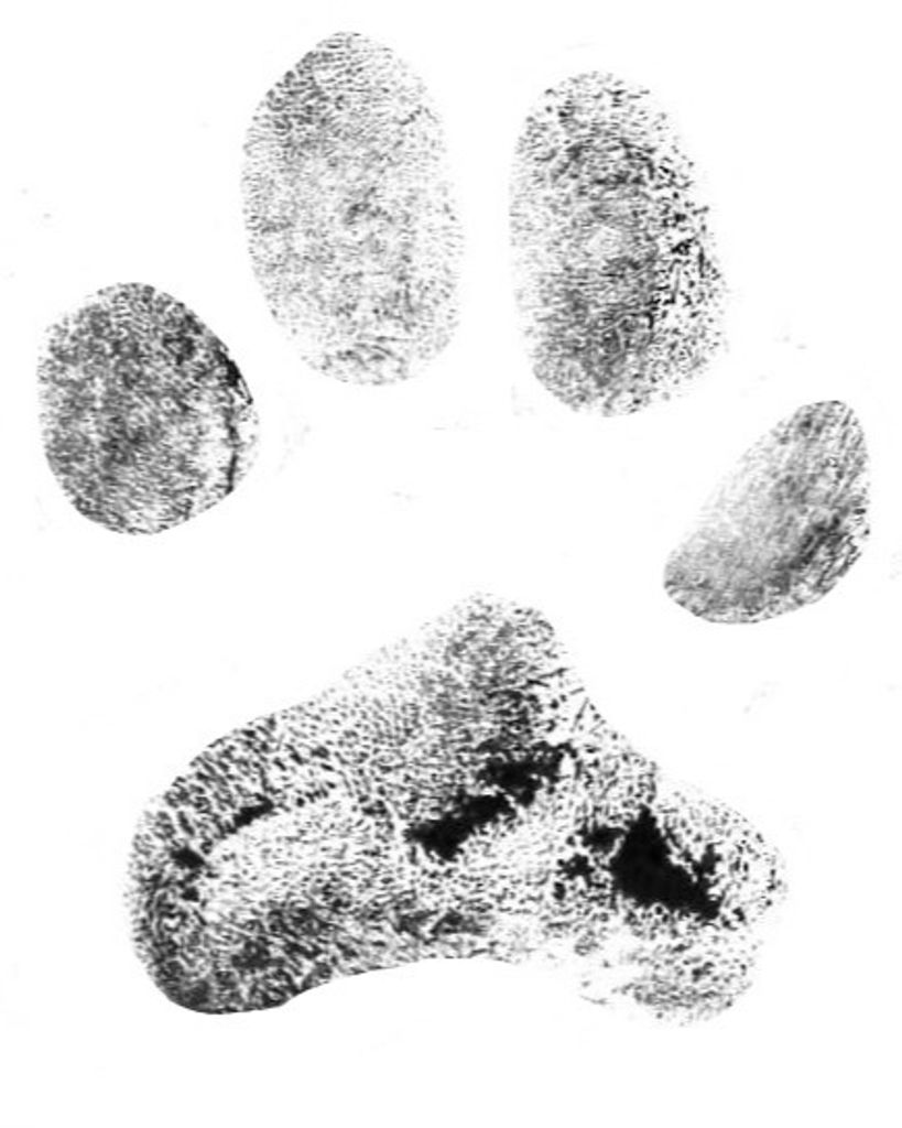 Molly Parks Profile Photo