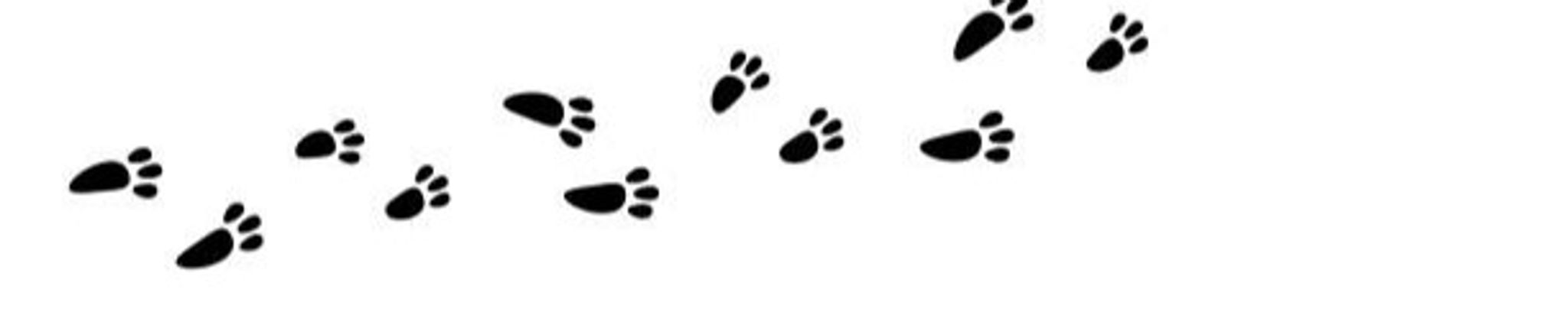 Cover for Friederich Wells's Obituary