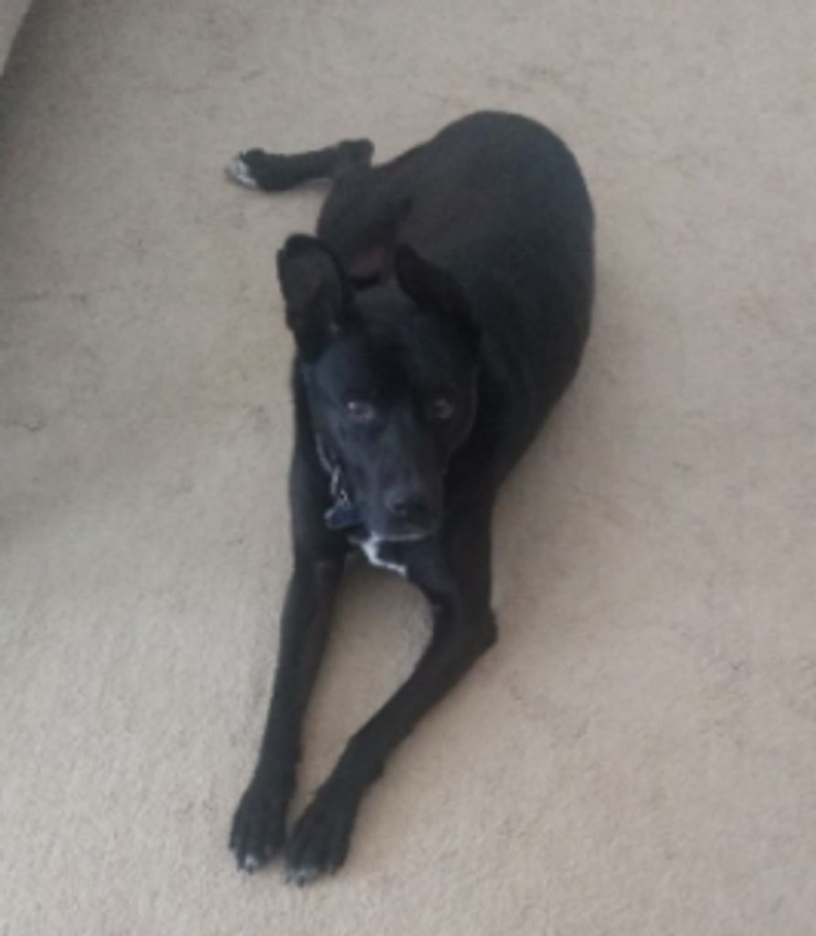 Marty Williams Profile Photo