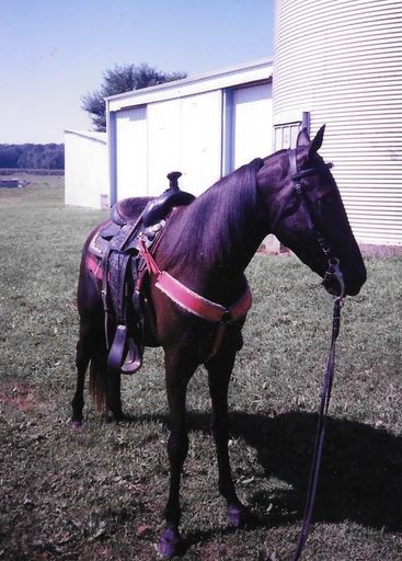 Claude D. Collins photo gallery thumbnail 33 of 91