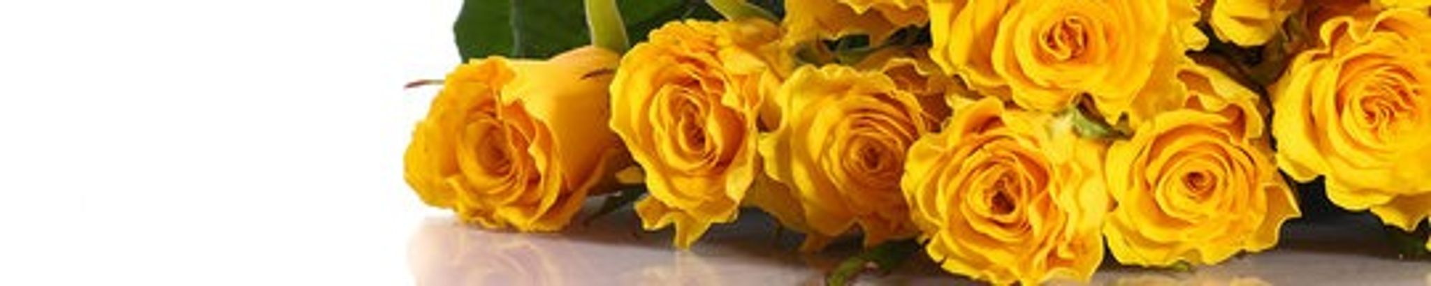 Cover photo for Evelyn A. Thiel-Kerke's Obituary