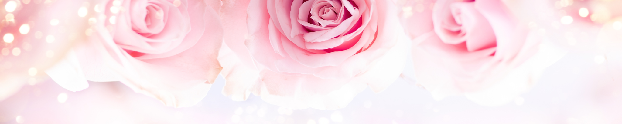 Cover photo for Lucille Wohltmann Hightower's Obituary