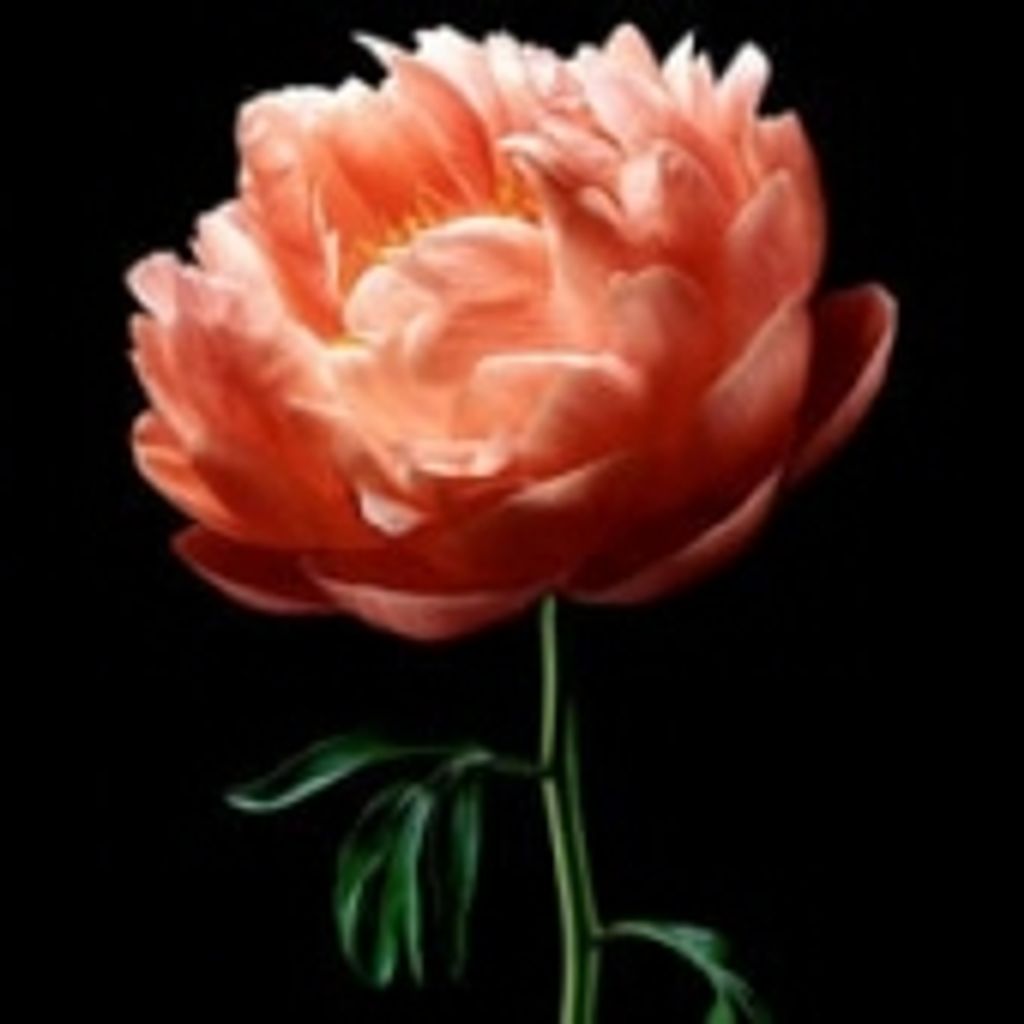 Elizabeth "Bette" Snow