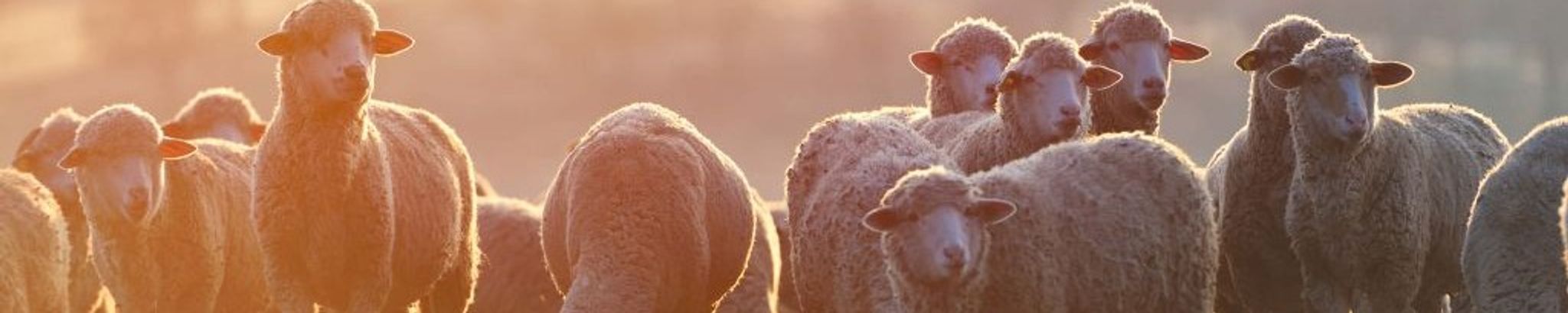 Cover for Reuben James Jones's Obituary