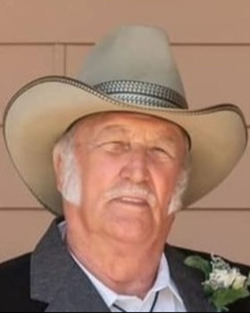 Reinhold Bittner Profile Photo