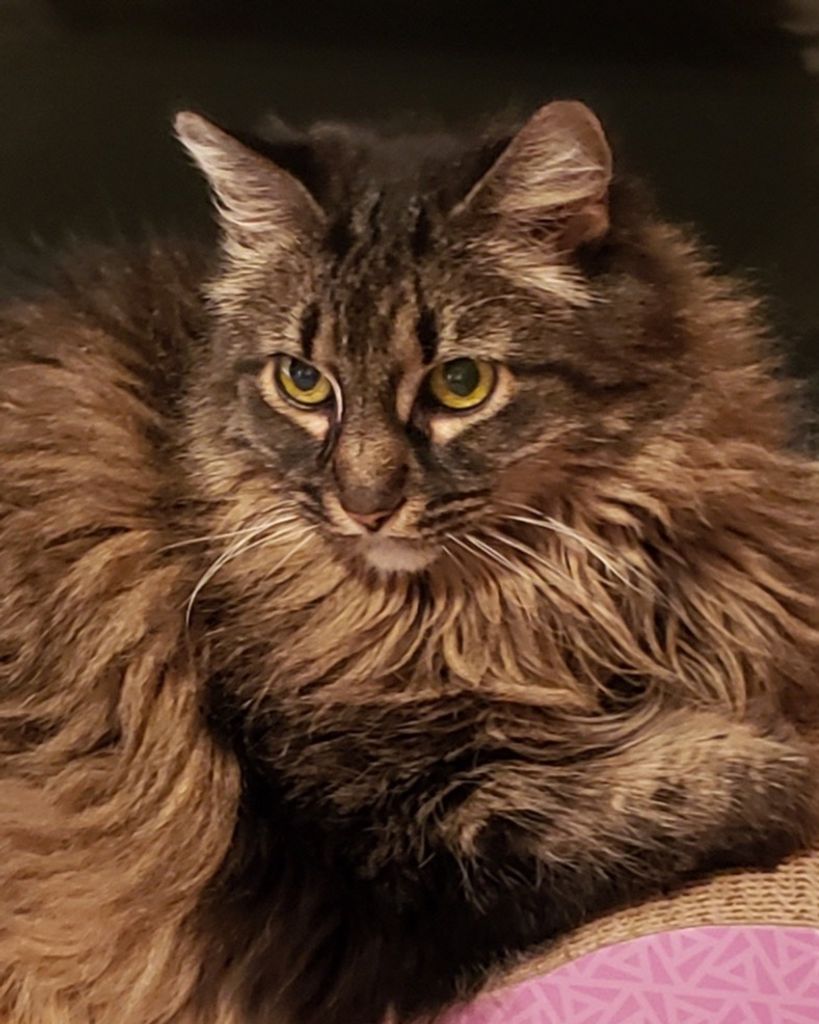 Luna Thomas Profile Photo