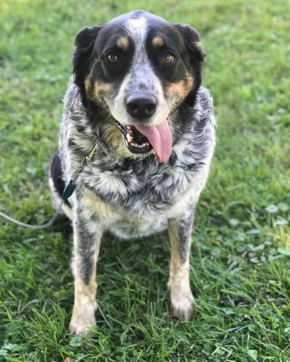 Kermit Clever's obituary image