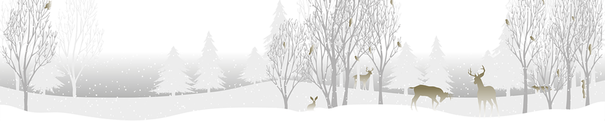 Cover for Florence Anderson's Obituary