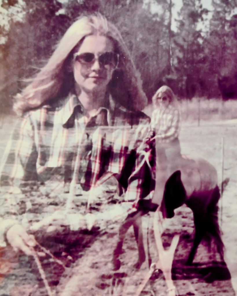 Donna Jean Cook