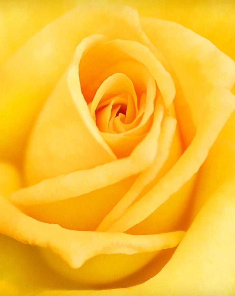 Hilda Taylor Ayers Profile Photo