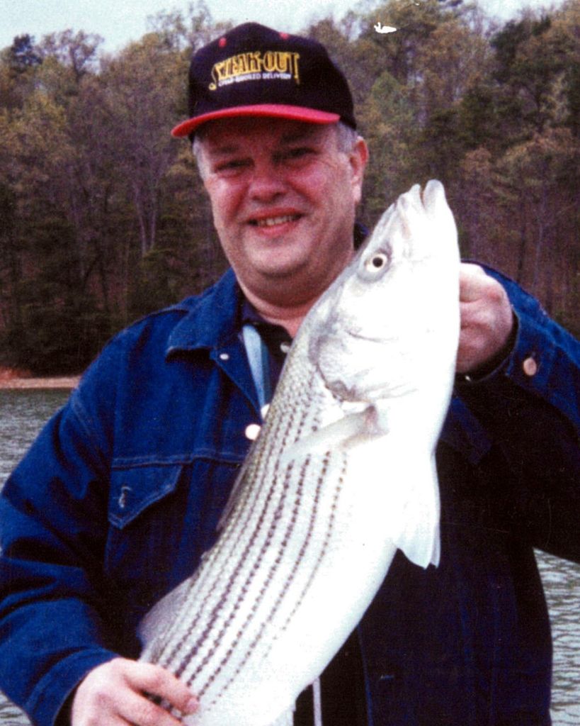 David A. Mizaur Profile Photo