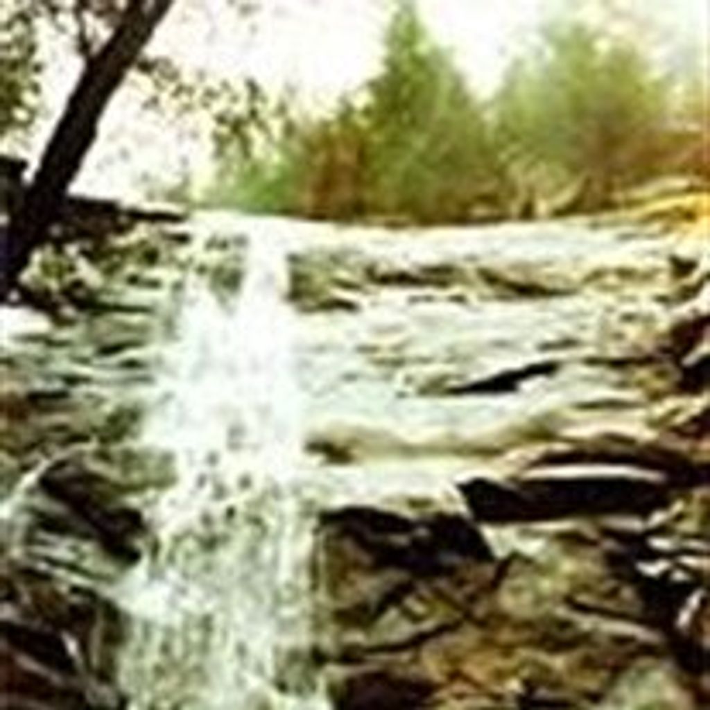 Lee Ellen Parzow Thompson