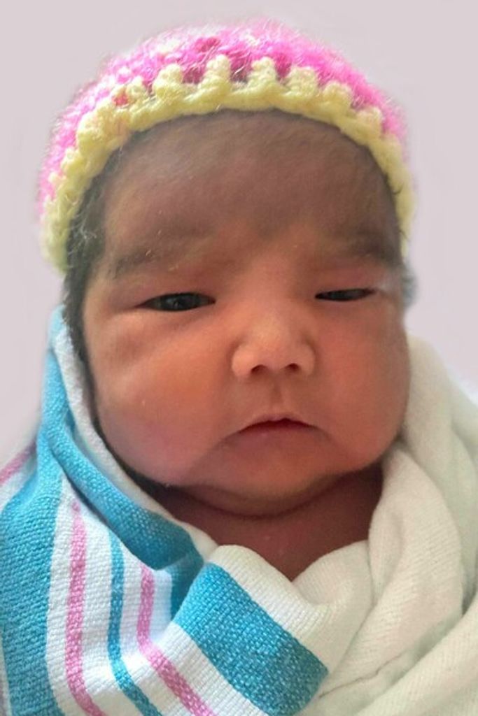 Dinisha Mary Moose-Turtle