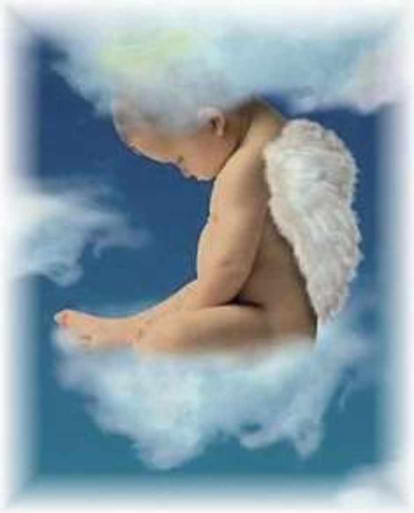 Easton Michael Medley