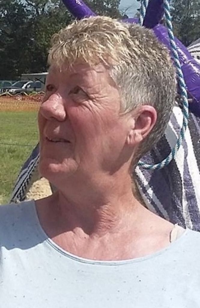 Carolina Halverson Profile Photo