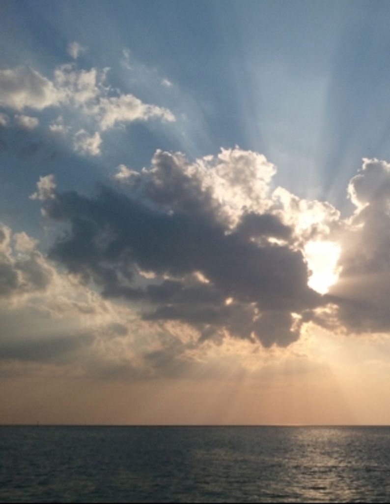 Michael Wayne Shepherd