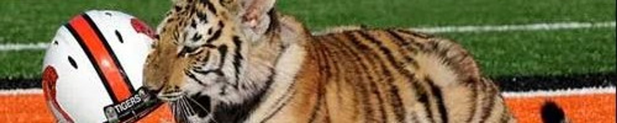 Cover for Larry E. Fuller's Obituary