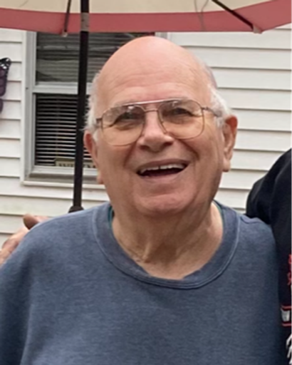 Louis A Danubio Jr.'s obituary image