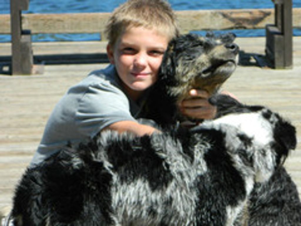 Braiden Korom