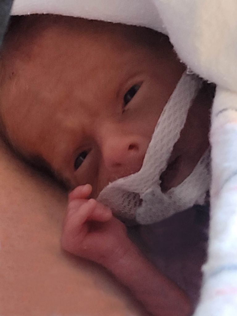 Stephen Wayne Harmening